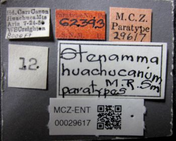 Media type: image;   Entomology 29617 Aspect: labels